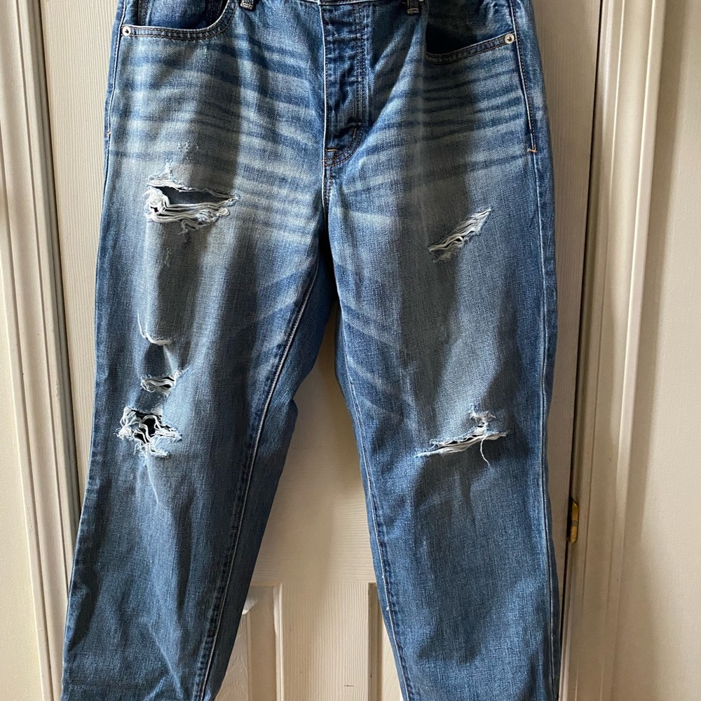 American Eagle 14Regular Boy Crop Jeans
